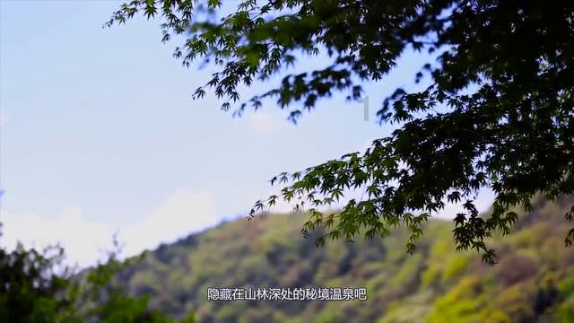 动物帮帮忙保卫家园