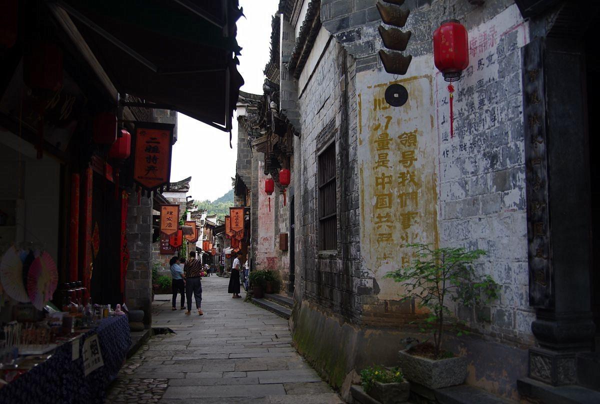 动物帮帮忙保卫家园